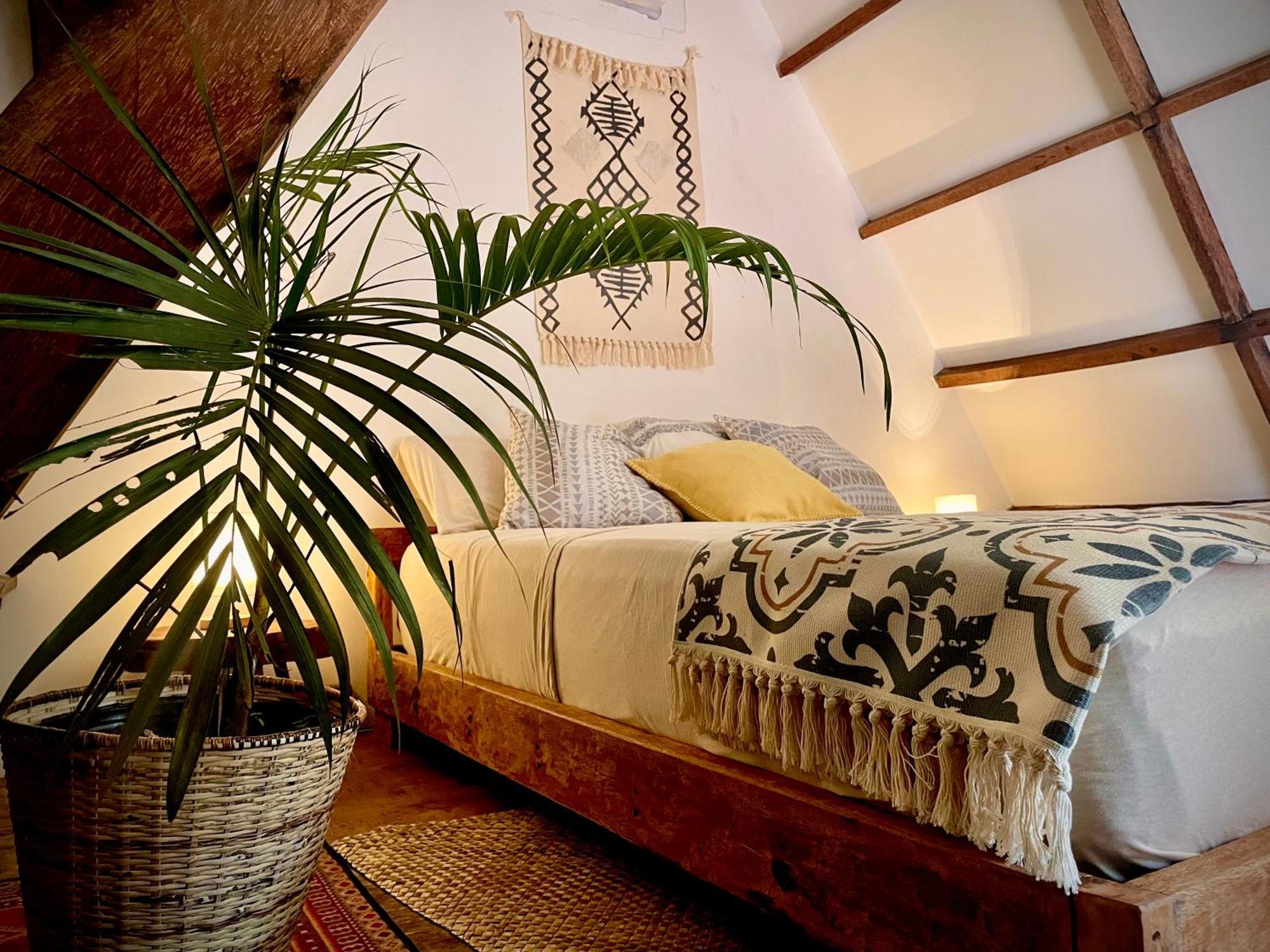 Hotel La Bohème Boutique Glamping General Luna  Esterno foto